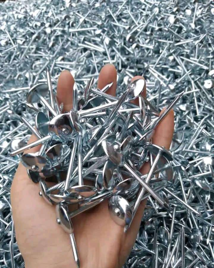 ROOFING NAILS